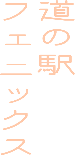 道の駅 フェニックス